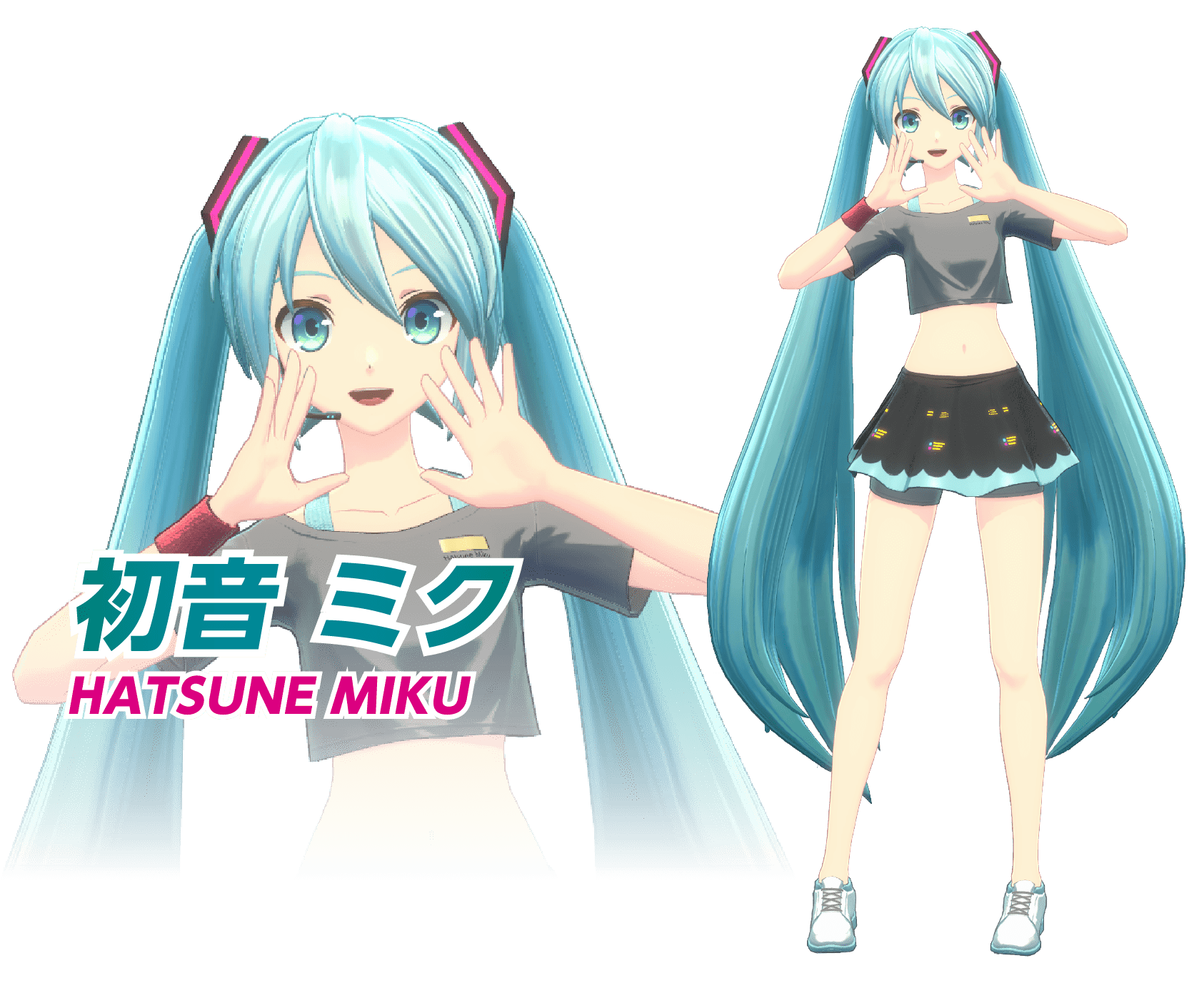 初音 ミクHATSUNE MIKU