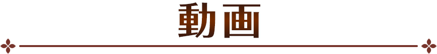 動画